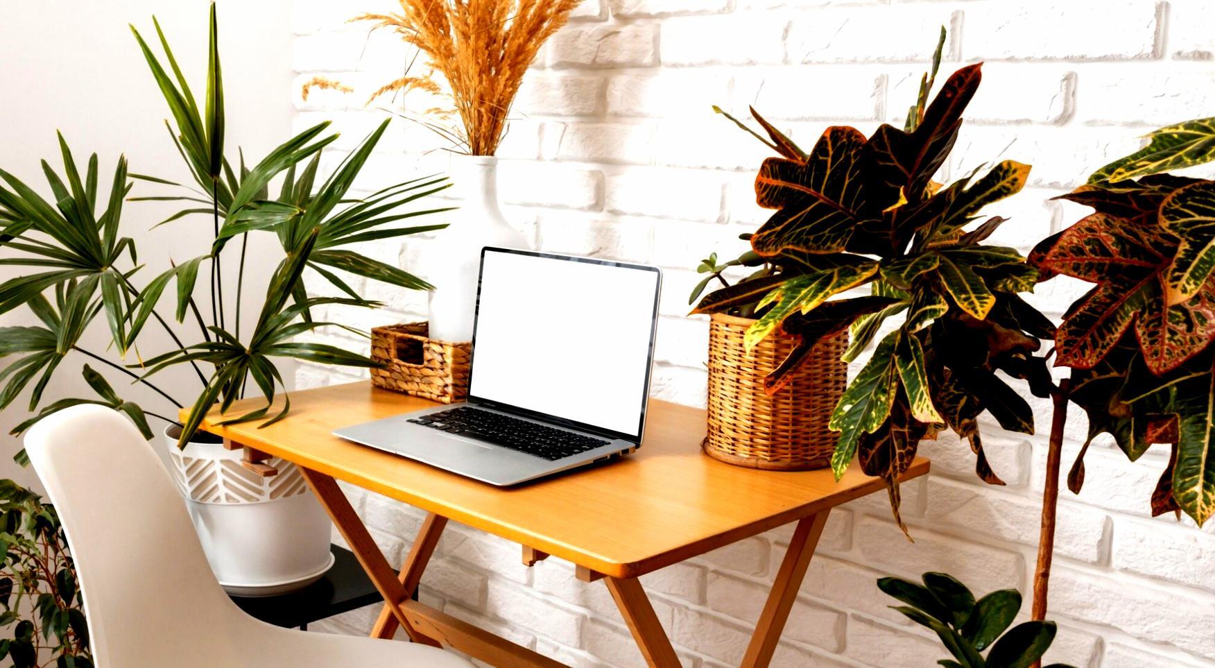 Individuelle Finanzberatung und Unterstützung